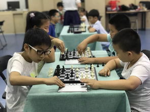 2019年泰達文化藝術中心秋季班報名開始拉